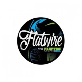 Flatwire Flapton Ni80 22/38 AWG